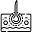 모발 건강