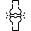 관절 건강